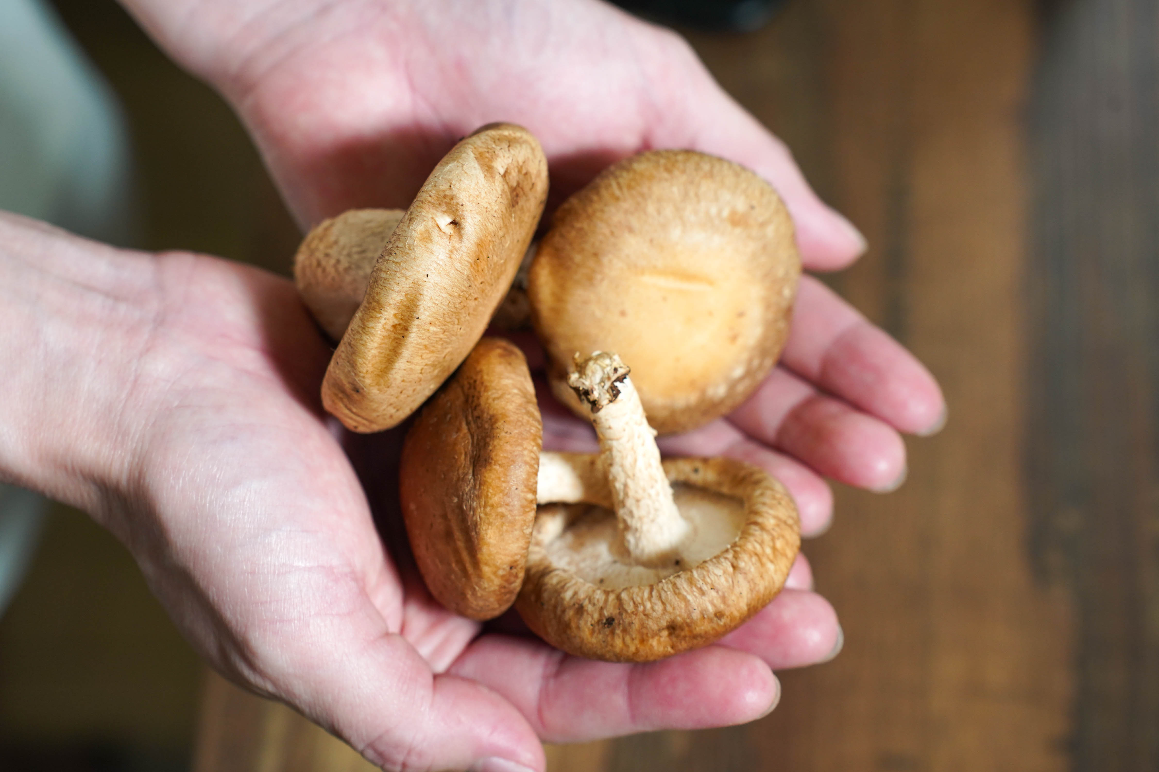 工場のイメージ